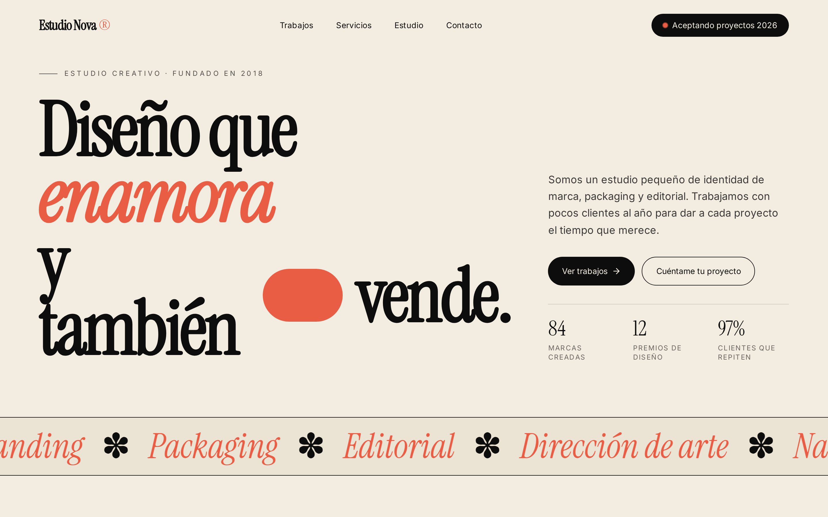 Captura de la web demo de Estudio Nova Design